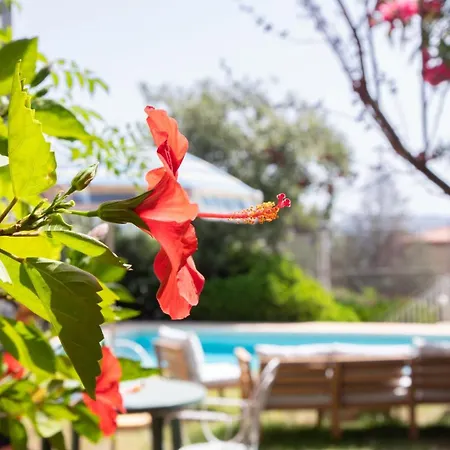 Charming House With Private Tennis Court And Pool Villa Catadau